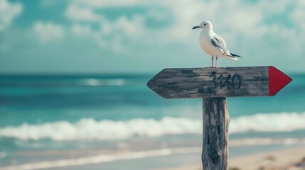 Seagull and old wooden signpost on the beach happy summer holiday concept : Generative AI