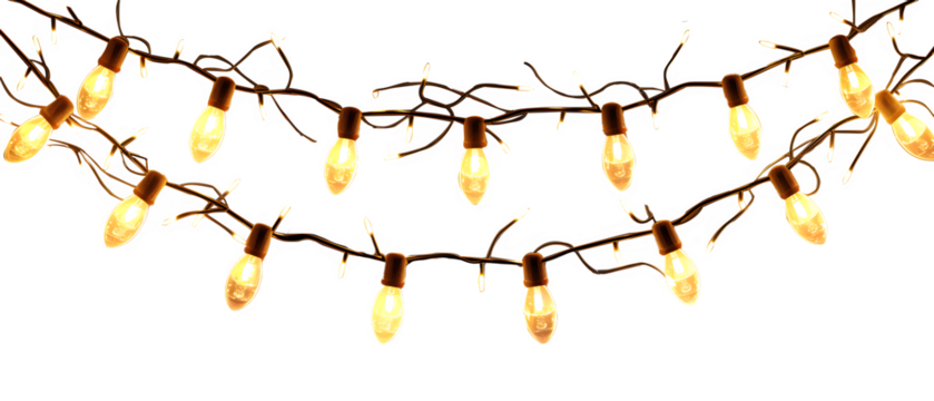 Festive warm glow string lights garland of light bulbs isolated png transparent background