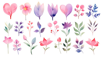Set watercolor elements of pink roses. collection garden flowers. leaves branches. Botanic illustration, eucalyptus. Wedding floral design