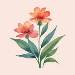 Watercolor lily rose and wild flowers vector image