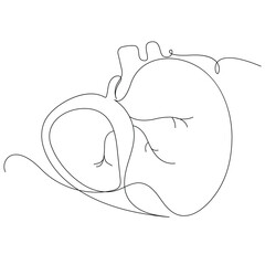 Human healthy liver in one line art continuous line illustration vector design