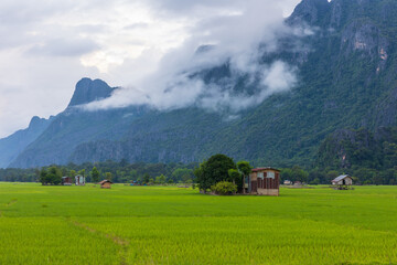 Nature is still peaceful and beautiful in Laos PDR.
