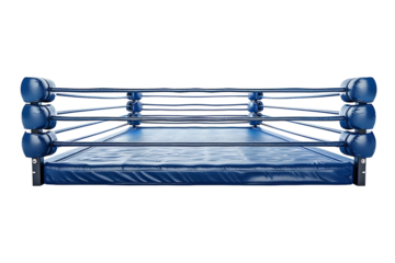 Boxing cage on isolated transparent background