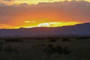 Sunset over savannah