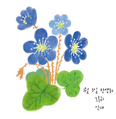 1월 5일 탄생화 노루귀 손그림