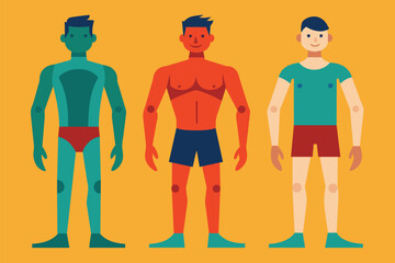 Fototapeta premium A group of three men standing side by side in a customizable flat illustration, Types of male body shapes Customizable Flat Illustration