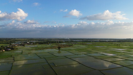 Aerial view, atmosphere of rice fields in the countryside