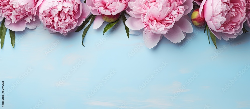 Poster a flat lay of pink peonies on a light blue background with an empty space for your text in the image