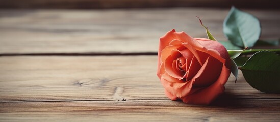 A toned photo of a rose placed on a wooden background with copy space image