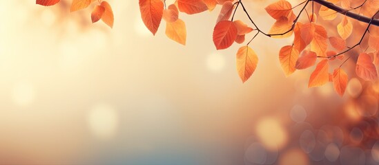 Obraz premium A fall themed background with orange leaves perfect for conveying the essence of autumn Offers plenty of copy space for your needs
