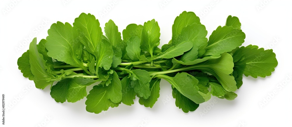 Poster a creative composition using arugula leaves featuring two leaves arranged with ample space in the ce