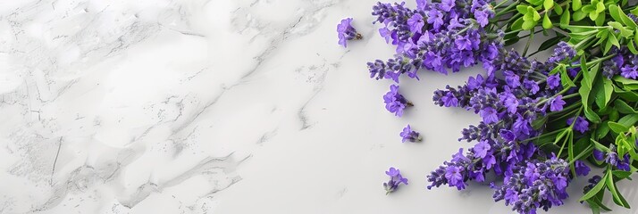 lavender flowers with copy space