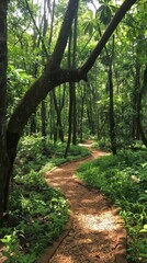 Fototapeta premium A path in a forest with trees on both sides