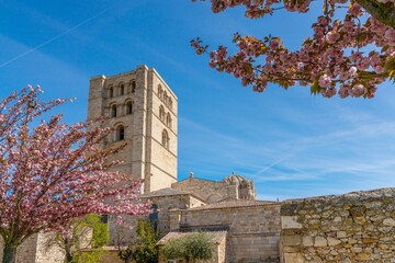 view of the Zamora Cathedral and the Baltasar Lobo Gardens in springtime colours