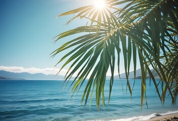 Fototapeta premium summer season theme with leafs of palm trees covered with shiny sun at beach behind Beach and Sea season theme