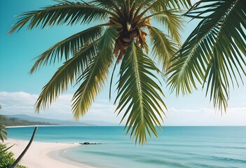 summer season theme with leafs of palm trees covered with shiny sun at beach behind Beach and Sea  season theme