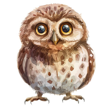 recommend clip art: Watercolor clipart of a baby owl, isolated on a white background, baby owl vector, Illustration painting, Graphic logo, drawing design art