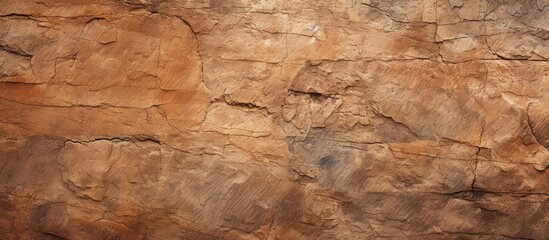 A textured brown stone background with ample copy space image