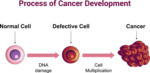 Process of Cancer Cell Development Science Diagram vector illustration