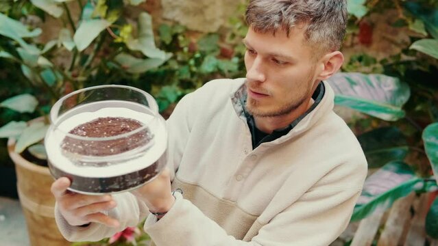 Gardener prepares the new layer of soil for a glass terrarium 