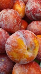 Close up pile of tasty fresh plums sold at the market as a background.