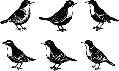 Set of American Dipper bird icon vector  silhouette 