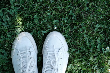 White sneakers against the grass. White sneakers on green background. 