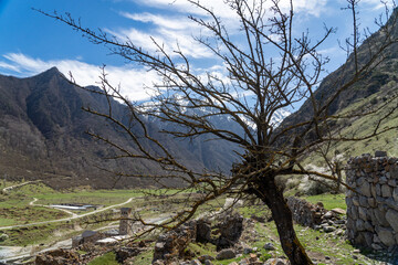 landscape in the mountains