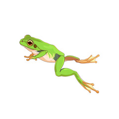 Obraz premium Cute Frog Cartoon Leaping Through The Air, Cartoon Illustration