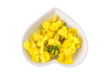 Rapeseed flowers in ceramic bowl isolated on white background, Top view. Flat lay