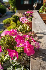 Balkon mit Blumen verschönern