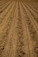 Empty plowed field at the beginning of spring season