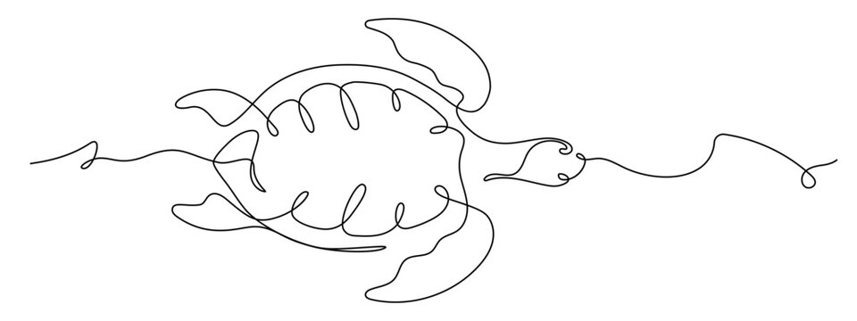 recommend clip art: Sea turtle single line art vector drawing. Abstract minimal hand drawn border or divider isolated on white background.