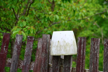 old, white bucket on the fence with trees in the background