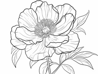 "Peony Flower Outline for Coloring Book"
"Detailed Line Art of a Peony Flower"
"Botanical Drawing of a Single Peony for Art Projects"