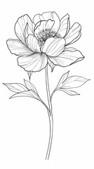 "Peony Flower Outline for Coloring Book"
"Detailed Line Art of a Peony Flower"
"Botanical Drawing of a Single Peony for Art Projects"