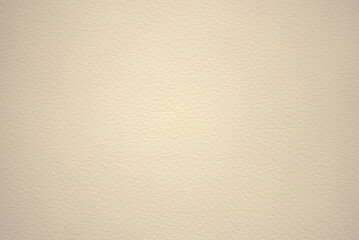 Neutral Tone Textured Paper Background