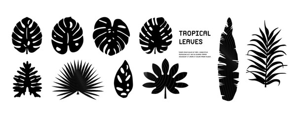 Set minimalistic tropical leaves. Silhouettes jungle plants branches, Botanical vector assets collection graphic bizarre elements.