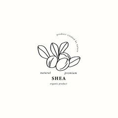 Line art shea nut with leaves logo