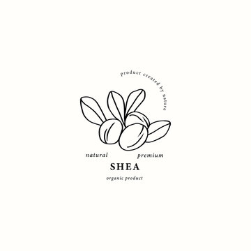 Line art shea nut with leaves logo