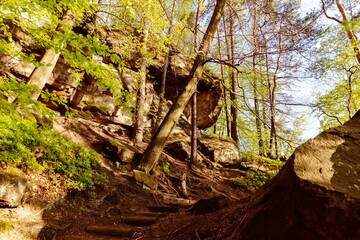 Blick von der Kleinen Bastei in die Sächsische Schweiz und auf die Elbe
