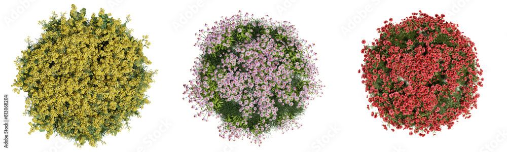 Poster top view evergreen colorful flowers and grass field in nature with isolated on transparent backgroun