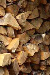 a wall of chopped, drying wood