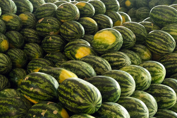 a lot of watermelons at the market