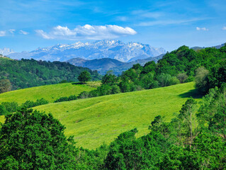 Picos de Europa National Park seen from Parres municipality, Asturias Spain
