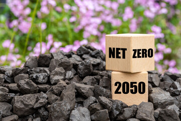 Net zero and carbon neutral concept. Climate neutral long term strategy, Slogan net zero 2050 on wooden blocks standing on a coal heap against the background of beautifully blooming flowers
