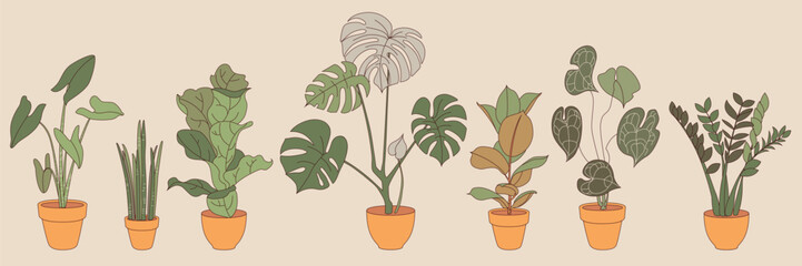 Home plants in flowerpot. Urban jungle, set of trendy potted plants for home. Different indoor houseplants isolated on white background. For printing, poster, logo, label.