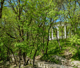 Obraz premium Spring Park