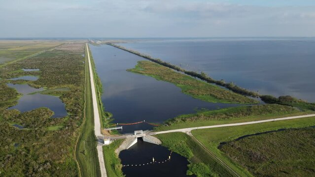 Stick marsh Florida