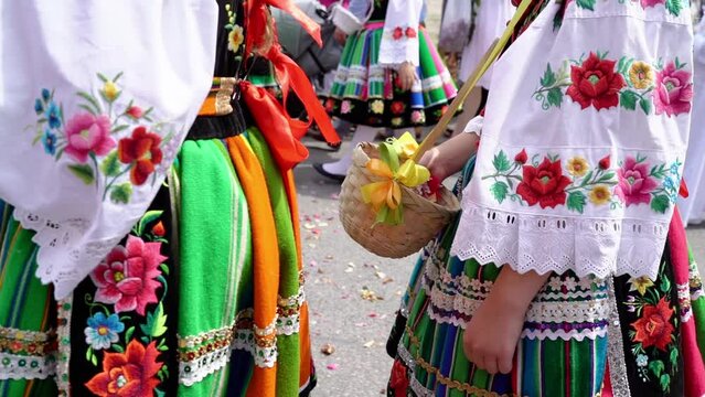 Łowicz Corpus Christi celebration. Young girls in traditional Masovian costumes throwing flower petals during religious procession. Slow motion video. Polish folklore